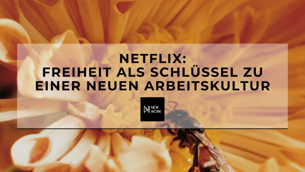 New Work - Netflix - Freiheit als Schluessel zu einer neuen Arbeitskultur