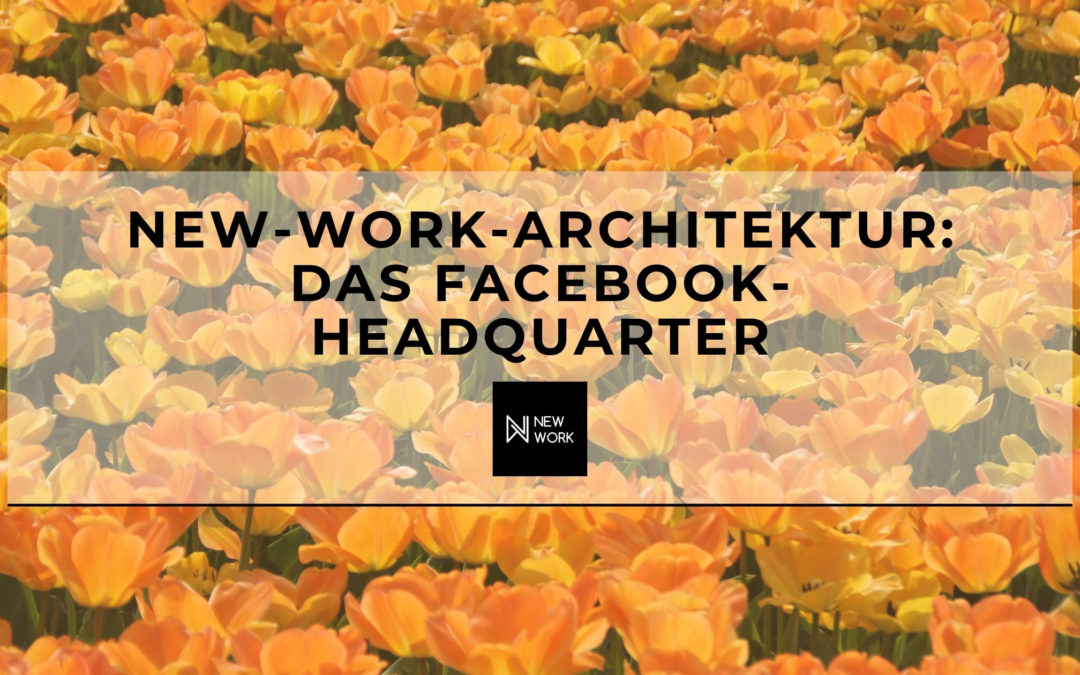 New-Work-Architektur: Das Facebook-Headquarter