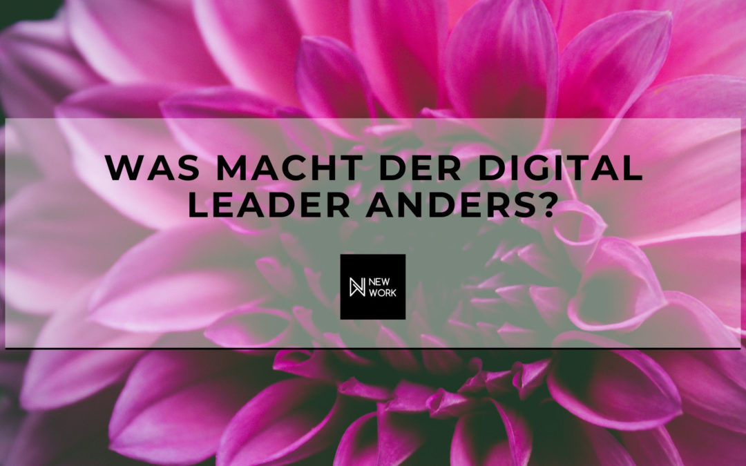 Was macht der Digital Leader anders?